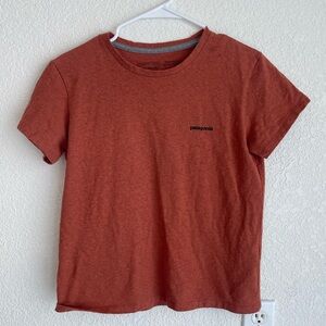 Patagonia Rust Responsibili-tee